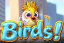 Birds Slot Review