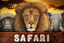 Safari slot